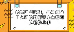 卖莆田篮球鞋，暴利掘金日入四位数新手小白都可以轻松上手【揭秘】-副业宇宙