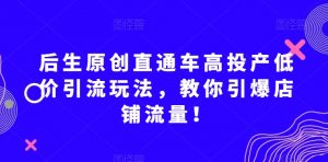 后生原创直通车高投产低价引流玩法,教你引爆店铺流量!-副业宇宙