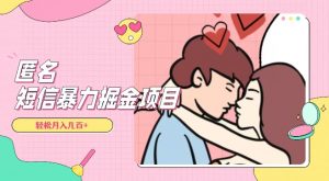 全网首发，揭秘超冷门匿名短信项目，通过信息差日入几百+【揭秘】-副业宇宙