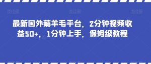 最新国外薅羊毛平台，2分钟视频收益50+，1分钟上手，保姆级教程【揭秘】-副业宇宙
