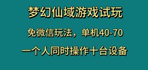 梦幻仙域游戏试玩，免微信玩法，单机40-70，一个人同时操作十台设备【揭秘】-副业宇宙