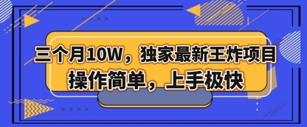 三个月10W，独家最新王炸项目！操作简单，上手极快【揭秘】-副业宇宙