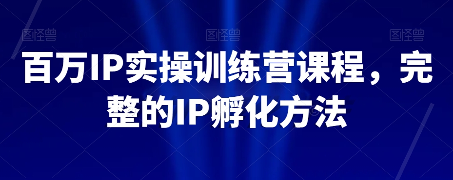 百万IP实操训练营课程，完整的IP孵化方法-副业宇宙