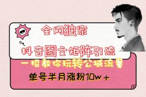 全网独家抖音图文矩阵引流,一招教你玩转公域流量,单号半月涨粉10w+【揭秘】-副业宇宙