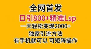 全网首发!日引800+精准老色批,一天变现2000+,独家引流方法,可矩阵操作【揭秘】-副业宇宙