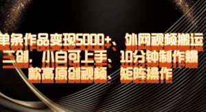 单条作品变现5000+、外网视频搬运二创,小白可上手,10分钟制作爆款高原创视频,矩阵操作【揭秘】-副业宇宙