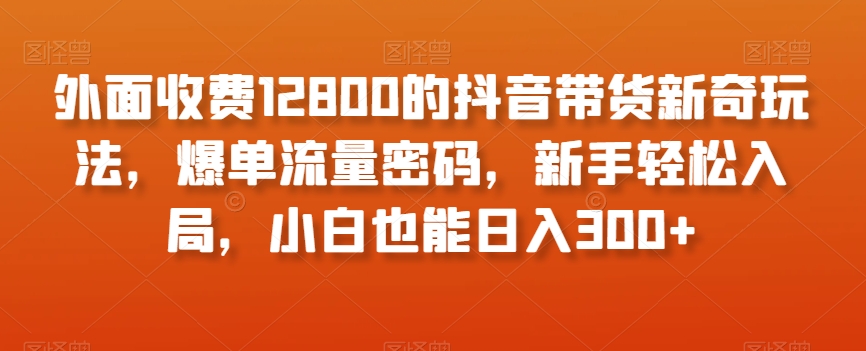 外面收费12800的抖音带货新奇玩法，爆单流量密码，新手轻松入局，小白也能日入300+【揭秘】-副业宇宙