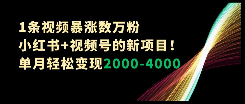 1条视频暴涨数万粉–小红书+视频号的新项目！单月轻松变现2000-4000【揭秘】-副业宇宙