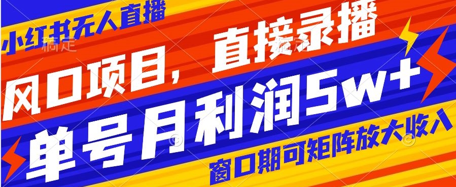 风口项目，小红书无人直播带货，直接录播，可矩阵，月入5w+【揭秘】-副业宇宙