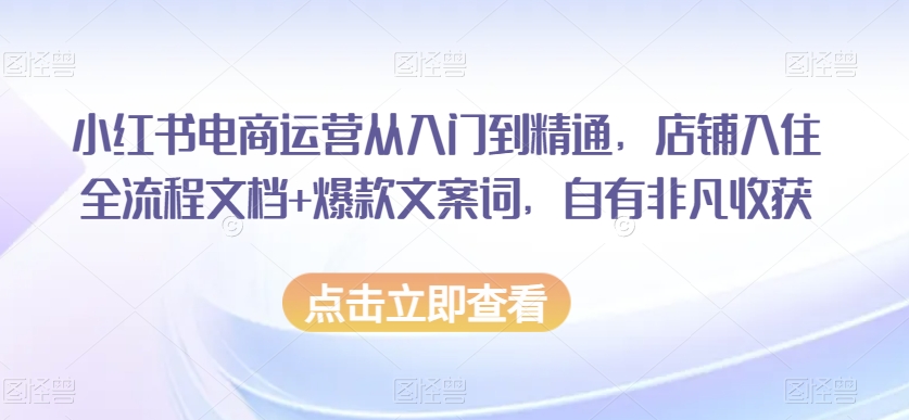 小红书电商运营从入门到精通，店铺入住全流程文档+爆款文案词，自有非凡收获-副业宇宙