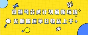 视频号最新爆火赛道玩法，只需无脑搬运，轻松过原创，单日收益上千【揭秘】-副业宇宙