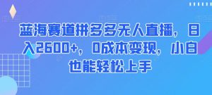 蓝海赛道拼多多无人直播,日入2600+,0成本变现,小白也能轻松上手【揭秘】-副业宇宙