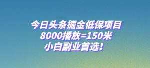今日头条掘金低保项目，8000播放=150米，小白副业首选【揭秘】-副业宇宙