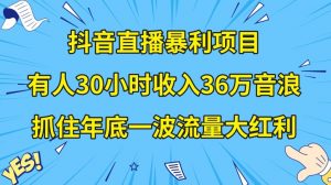 抖音直播暴利项目，有人30小时收入36万音浪，公司宣传片年会视频制作，抓住年底一波流量大红利【揭秘】-副业宇宙