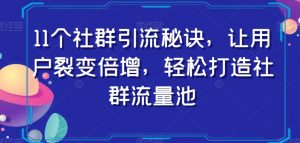 11个社群引流秘诀，让用户裂变倍增，轻松打造社群流量池-副业宇宙