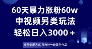 60天暴力涨粉60W，中视频另类玩法，日入3000＋，几分钟一条原创作品多种变现方式-副业宇宙
