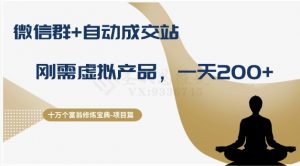 十万个富翁修炼宝典之8.微信群+自动成交站，刚需虚拟产品，一天200+-副业宇宙