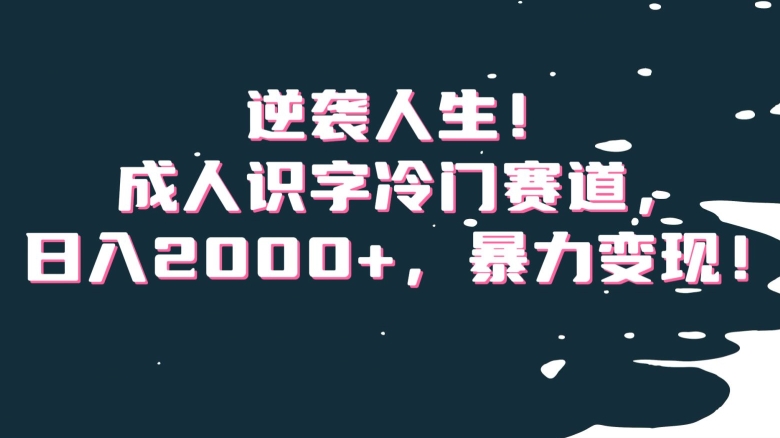 逆袭人生！成人识字冷门赛道，日入2000+，暴力变现！【揭秘】-副业宇宙