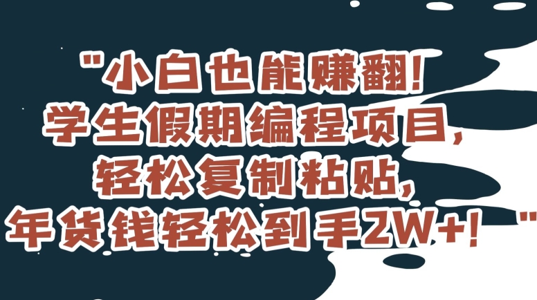 小白也能赚翻！学生假期编程项目，轻松复制粘贴，年货钱轻松到手2W+【揭秘】-副业宇宙