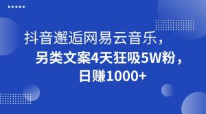 抖音邂逅网易云音乐,另类文案4天狂吸5W粉,日赚1000+【揭秘】-副业宇宙