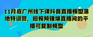 11月底广州线下课抖音直播模型落地特训营，短视频锤爆直播间的平播可复制模型-副业宇宙
