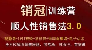 爆款！销冠训练营3.0之顺人性销售法，全方位解决销售难题、可落地、可执行、有结果-副业宇宙