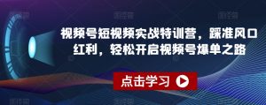 视频号短视频实战特训营，踩准风口红利，轻松开启视频号爆单之路-副业宇宙