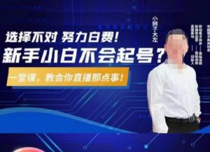 大左教您从0到1做直播带货，选择不对，努力白费，5小时课程搞定那点事，解决你起号问题-副业宇宙