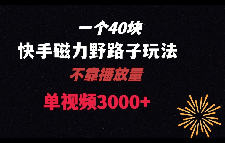 一个40块，快手联合美团磁力新玩法，无视机制野路子玩法，单视频收益4位数【揭秘】-副业宇宙