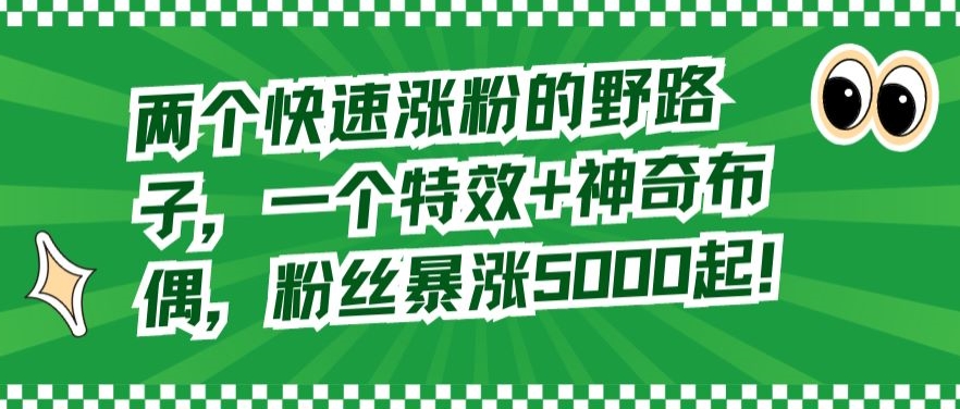 两个快速涨粉的野路子，一个特效+神奇布偶，粉丝暴涨5000起【揭秘】-副业宇宙