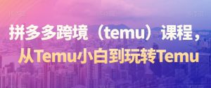 拼多多跨境（temu）课程，从Temu小白到玩转Temu-副业宇宙