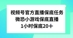 视频号直播任务，微恐小游戏，1小时20+【揭秘】-副业宇宙