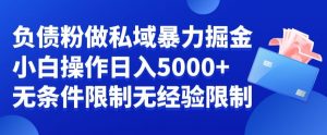 负债粉私域暴力掘金，小白操作入5000，无经验限制，无条件限制【揭秘】-副业宇宙