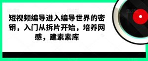 短视频编导进入编导世界的密钥，入门从拆片开始，培养网感，建素素库-副业宇宙