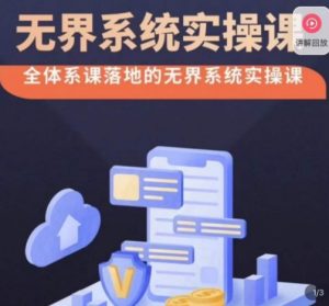 老衲·无界系统实操课,全体系落地无界改版后选择、出价、高投产做付费引流-副业宇宙