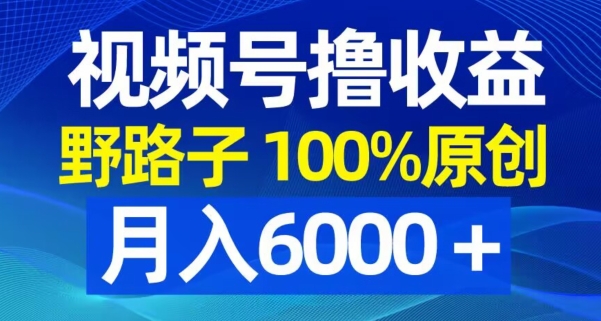 视频号野路子撸收益，100%原创，条条爆款，月入6000＋【揭秘】-副业宇宙