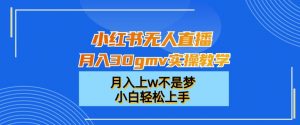 小红书无人直播月入30gmv实操教学，月入上w不是梦，小白轻松上手【揭秘】-副业宇宙