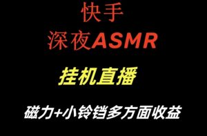 快手深夜ASMR挂机直播，磁力+小铃铛收益（附带工具和5G素材）【揭秘】-副业宇宙
