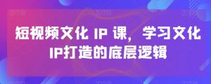 短视频文化IP课，学习文化IP打造的底层逻辑-副业宇宙