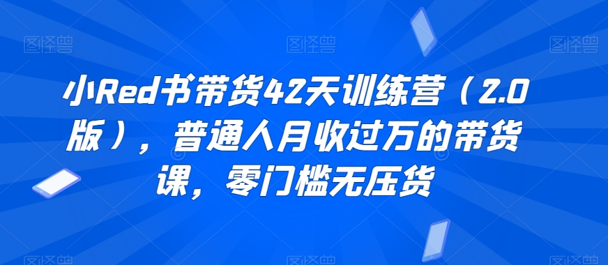 小Red书带货42天训练营（2.0版），普通人月收过万的带货课，零门槛无压货-副业宇宙