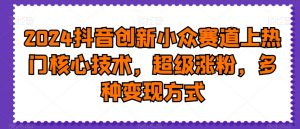 2024抖音创新小众赛道上热门核心技术，超级涨粉，多种变现方式【揭秘】-副业宇宙