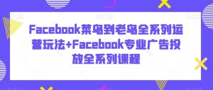 Facebook菜鸟到老鸟全系列运营玩法+Facebook专业广告投放全系列课程-副业宇宙