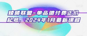 臻曦联盟-单品微付费正价起号，2024年1月最新课程-副业宇宙