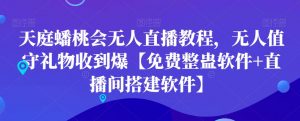天庭蟠桃会无人直播教程，无人值守礼物收到爆【免费整蛊软件+直播间搭建软件】-副业宇宙