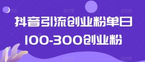 抖音引流创业粉单日100-300创业粉【揭秘】-副业宇宙