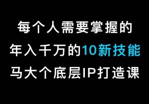 马大个的IP底层逻辑课,每个人需要掌握的年入千万的10新技能,约会底层IP打造方法!-副业宇宙