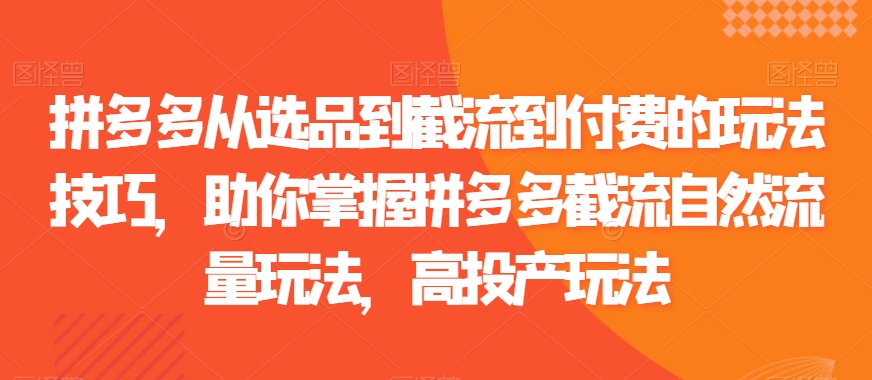 拼多多从选品到截流到付费的玩法技巧，助你掌握拼多多截流自然流量玩法，高投产玩法-副业宇宙