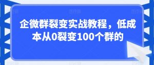 企微群裂变实战教程，低成本从0裂变100个群的-副业宇宙