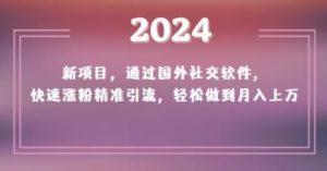 2024新项目,通过国外社交软件,快速涨粉精准引流,轻松做到月入上万【揭秘】-副业宇宙