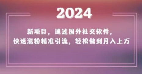 2024新项目，通过国外社交软件，快速涨粉精准引流，轻松做到月入上万【揭秘】-副业宇宙